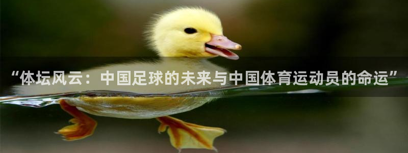 欧亿体育官方正版app集团官网首页：“体坛风云：中国