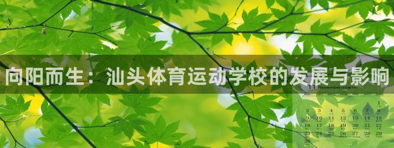 欧亿体育官方正版app开户